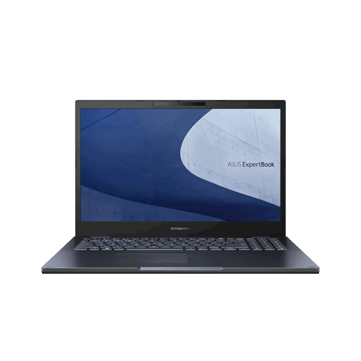 Noutbuk Asus ExpertBook B2502CVA-BQ0176 (90NX06F1-M00650)