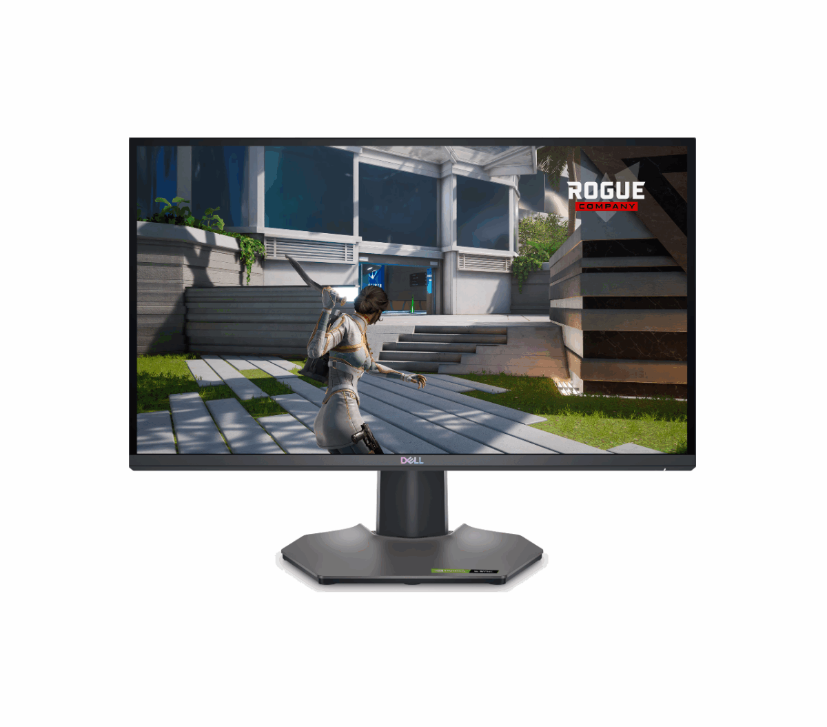 Dell 25 Gaming Monitor - G2524H (210-BHTQ_AZ)