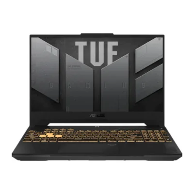 Asus TUF Gaming F15 FX507VI-LP104 (90NR0FH7-M005P0)