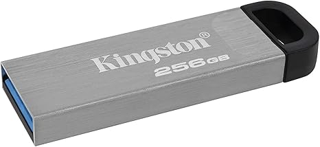51tADZLtNML._AC_SX466_ USB flash drive (DTKN/256GB)