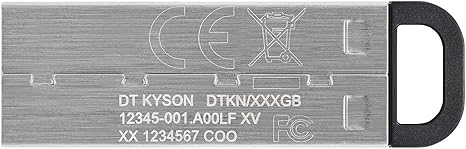 71kCp5+b0UL._AC_SX466_ USB flash drive (DTKN/256GB)