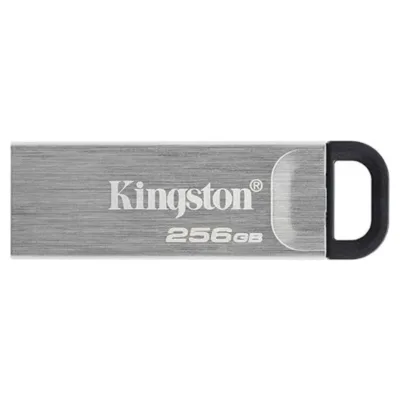 USB flash drive (DTKN/256GB)